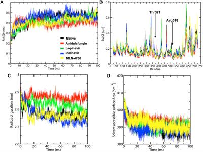 Anti-Fungal Drug Anidulafungin Inhibits SARS-CoV-2 Spike-Induced Syncytia Formation by Targeting ACE2-Spike Protein Interaction